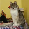 Отзыв от Кира Акимова